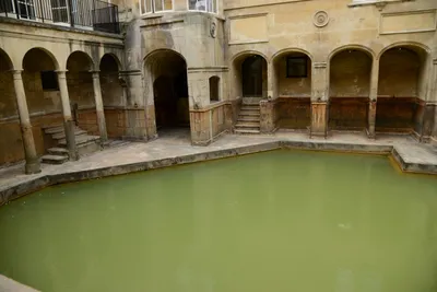 DSC_2676 (Large).JPG